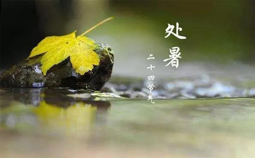 明日处暑，智启新秋 —— 918博天堂智能与您共迎清凉